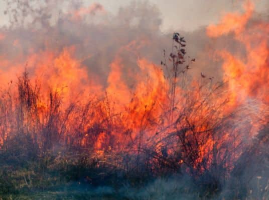 A wildfire burning strongly, with orange flames and dark smoke rising