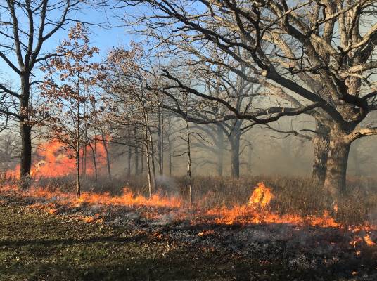 A wildland fire actively burning