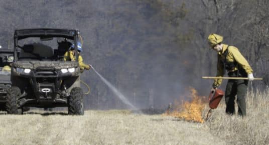 A firefighter working a controlled fire on the edge of a forest