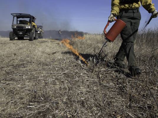A firefighter walking spreading fuel in a line as part of a fire management effort
