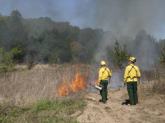 Two firefighters monitoring a prescribed burn fire